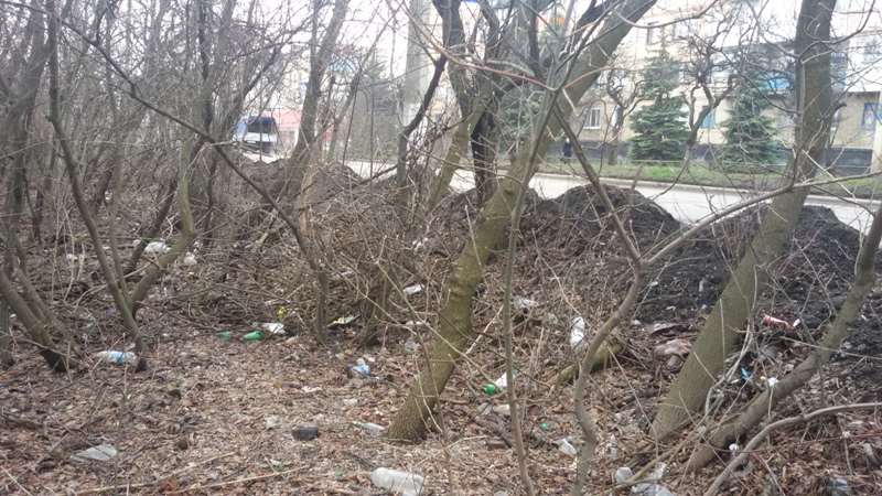 20160323_113015.jpg